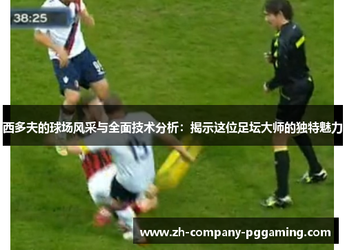 西多夫的球场风采与全面技术分析：揭示这位足坛大师的独特魅力