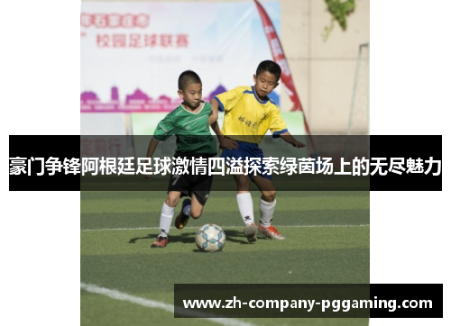 豪门争锋阿根廷足球激情四溢探索绿茵场上的无尽魅力