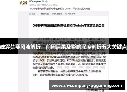 魏震禁赛风波解析：前因后果及影响深度剖析五大关键点