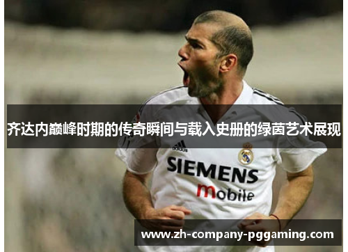 齐达内巅峰时期的传奇瞬间与载入史册的绿茵艺术展现
