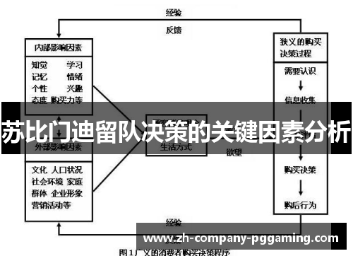 苏比门迪留队决策的关键因素分析