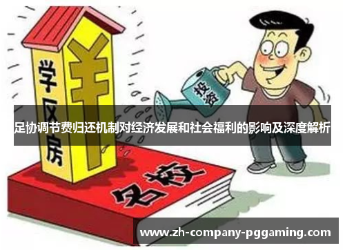 足协调节费归还机制对经济发展和社会福利的影响及深度解析