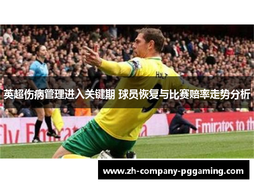 英超伤病管理进入关键期 球员恢复与比赛赔率走势分析